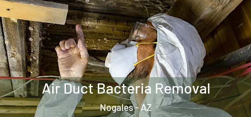  Air Duct Bacteria Removal Nogales - AZ