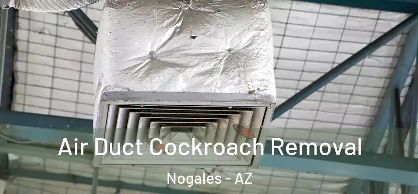 Air Duct Cockroach Removal Nogales - AZ