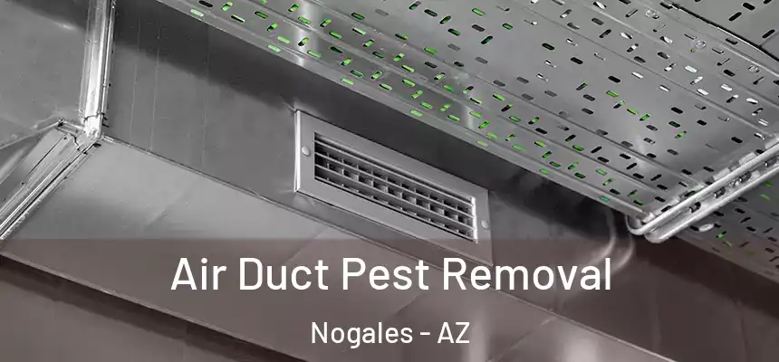Air Duct Pest Removal Nogales - AZ