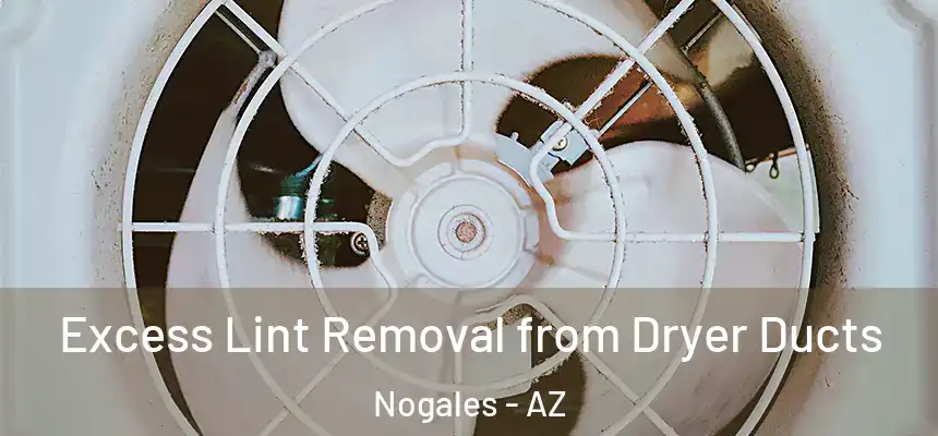  Excess Lint Removal from Dryer Ducts Nogales - AZ