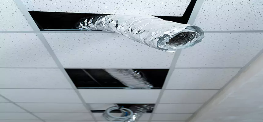 Our Air Duct Pet Hair Removal Services in Nogales, AZ