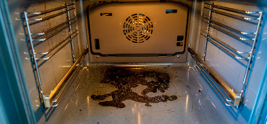 Our Dryer Vent Mold Cleaning Services in Nogales, AZ