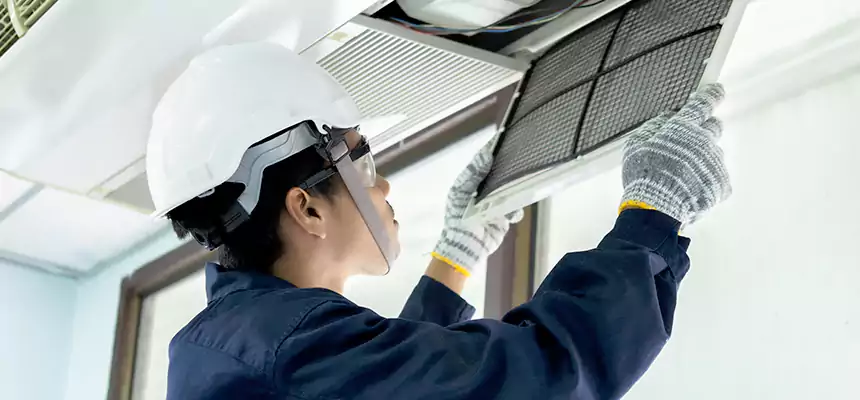 Our Mold & Mildew Removal from Air Ducts Services in Nogales, AZ