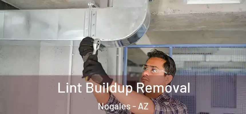 Lint Buildup Removal Nogales - AZ