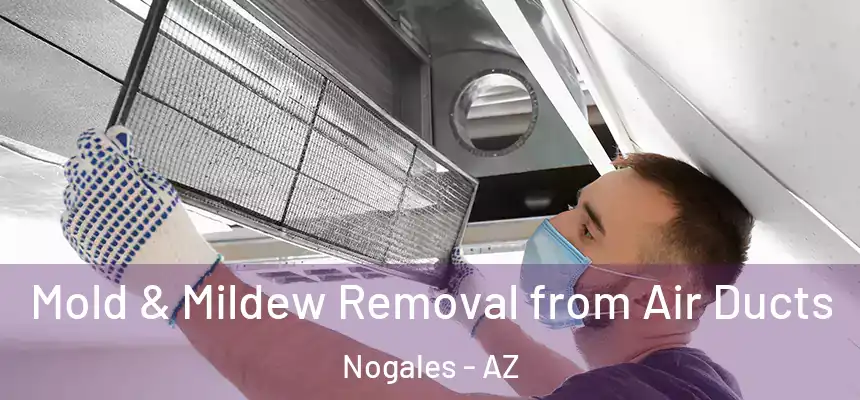 Mold & Mildew Removal from Air Ducts Nogales - AZ