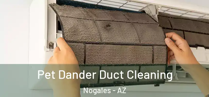 Pet Dander Duct Cleaning Nogales - AZ