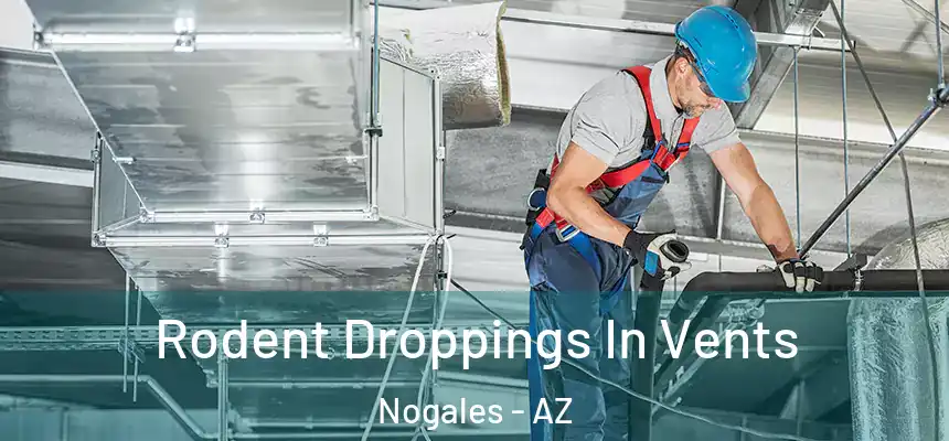 Rodent Droppings In Vents Nogales - AZ