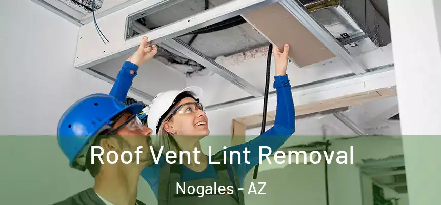 Roof Vent Lint Removal Nogales - AZ