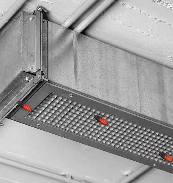 Affordable Insect Removal from Air Ducts in Nogales, AZ