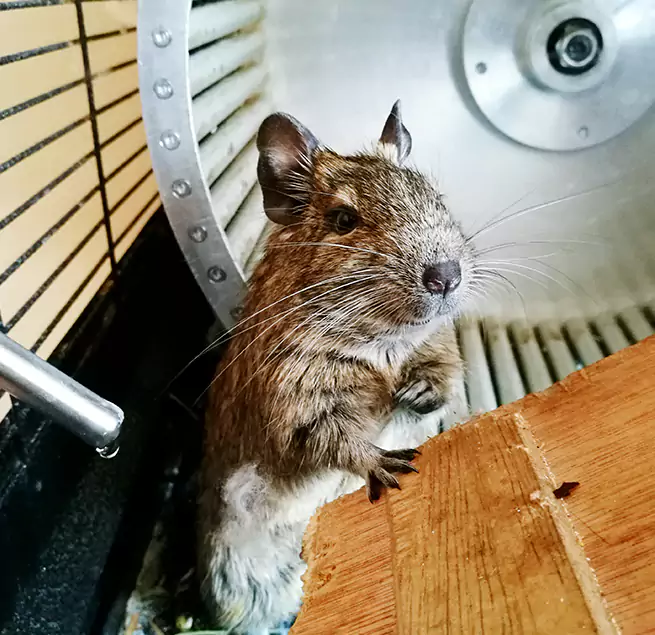 Why Homeowners & Businesses Trust Us Nogales, AZ