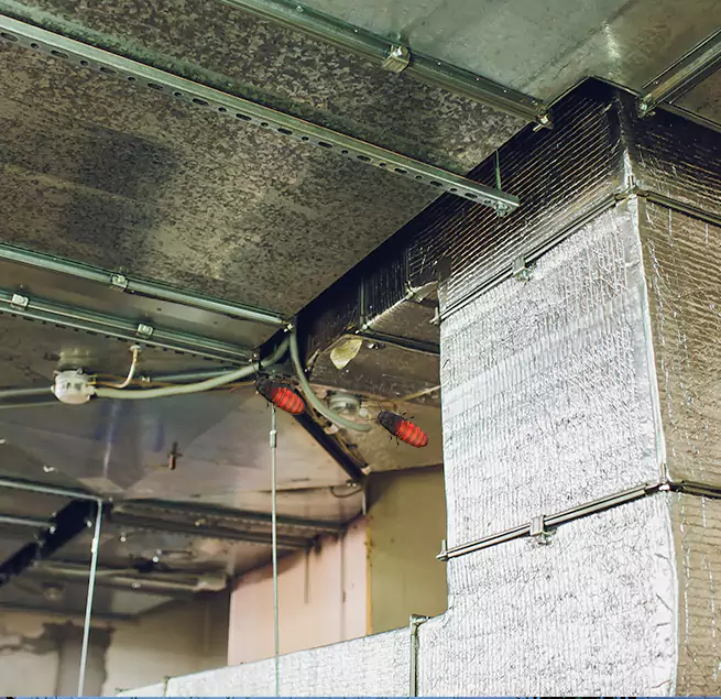 Why Homeowners & Businesses Trust Us Nogales, AZ?