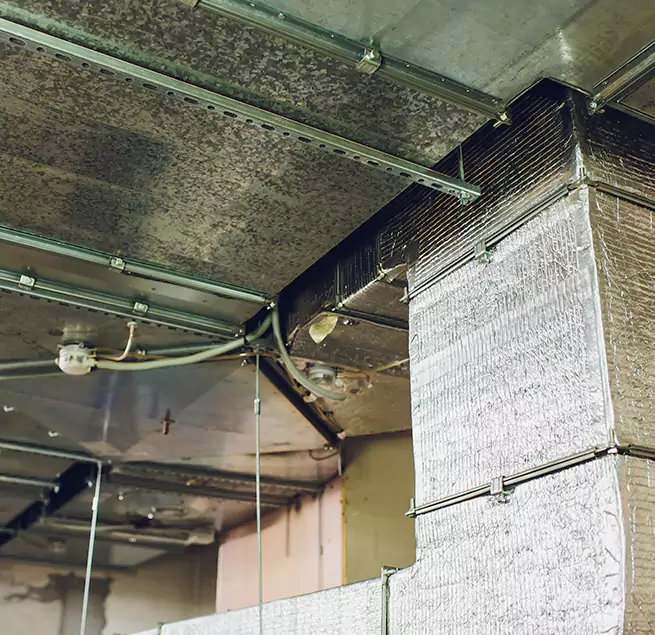 Why Homeowners & Businesses Trust Us in Nogales, AZ?